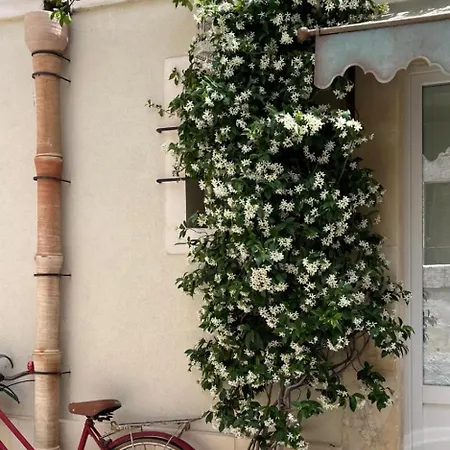 Prázdninový dům La Casa Dell'artista - Affitti Brevi - Ferla