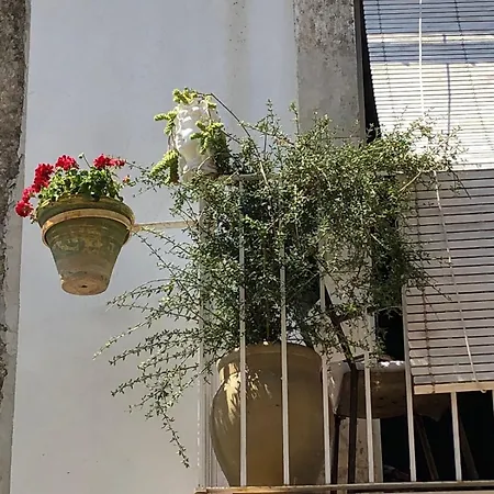 La Casa Dell'artista - Affitti Brevi - * Ferla